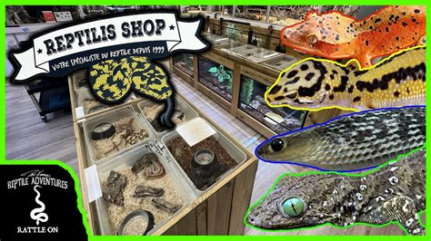 boutique reptile paris